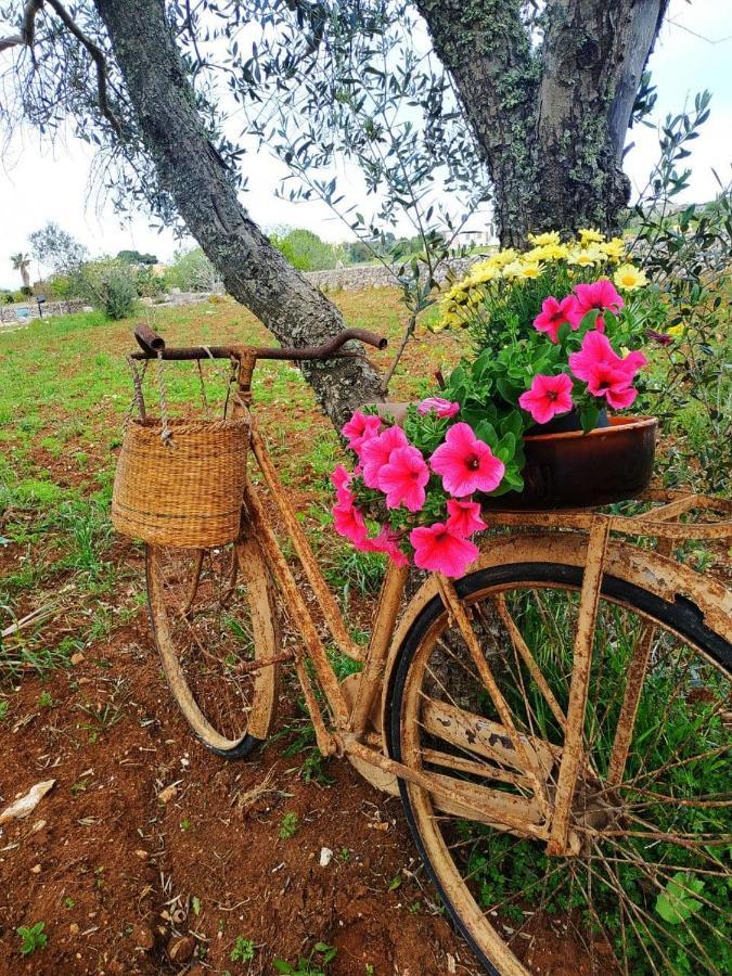 Palacca, Trullo Salentino 안드라노 외부 사진