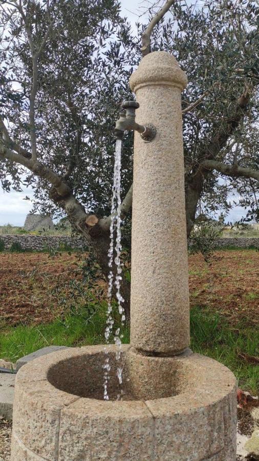 Palacca, Trullo Salentino 안드라노 외부 사진
