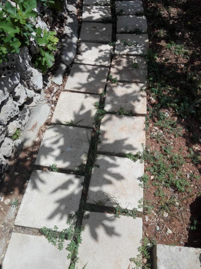 Palacca, Trullo Salentino 안드라노 외부 사진