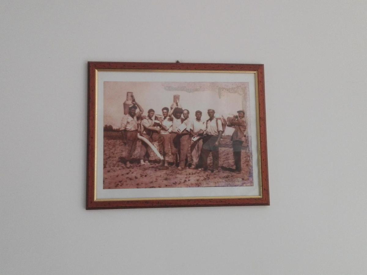 Palacca, Trullo Salentino 안드라노 외부 사진