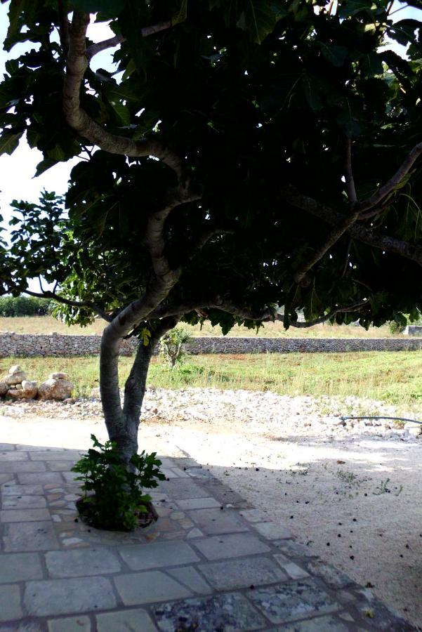 Palacca, Trullo Salentino 안드라노 외부 사진
