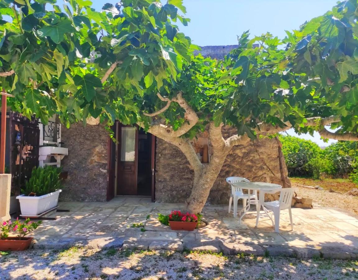Palacca, Trullo Salentino 안드라노 외부 사진