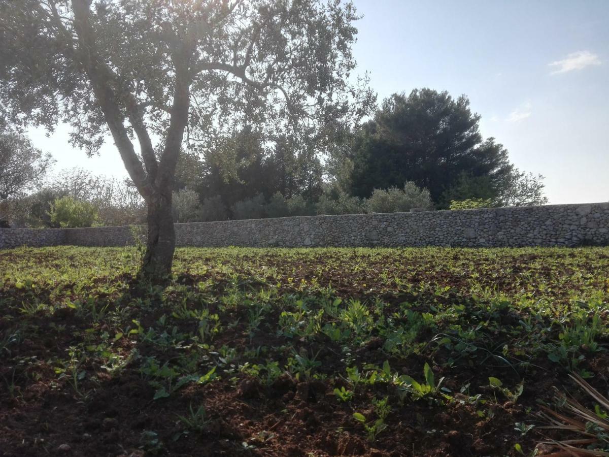 Palacca, Trullo Salentino 안드라노 외부 사진